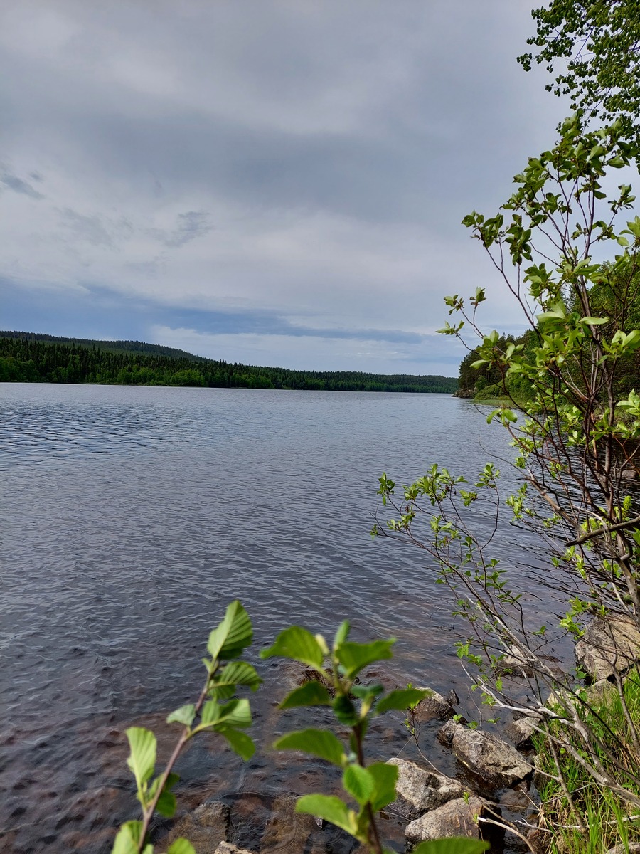 Kuvaa Auttijärvelle ja tontin rantaa