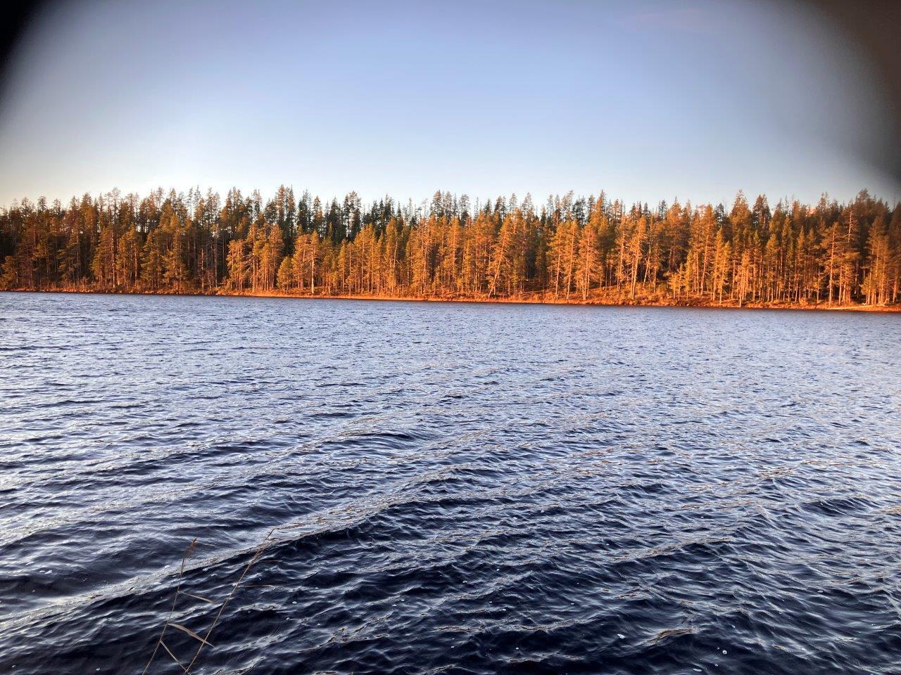 Järvimaisemaa