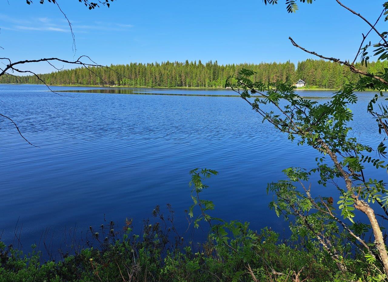 Maisema rannalta aurinkoiselle järvelle. Taivas ja järvi ovat sinisiä.