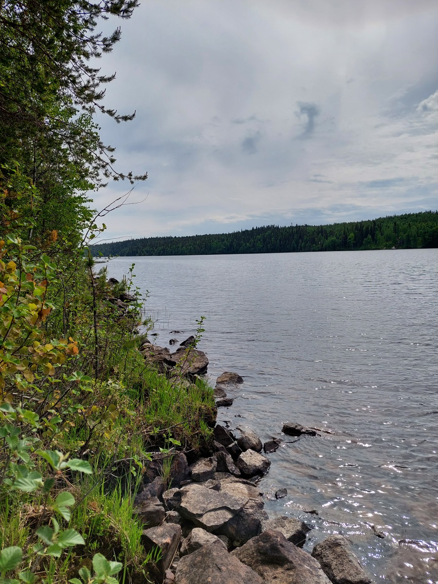 Auttijärvelle ja tontin rantaa