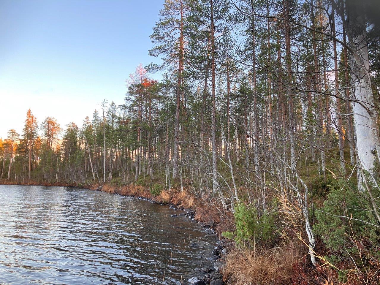 Järvimaisemaa