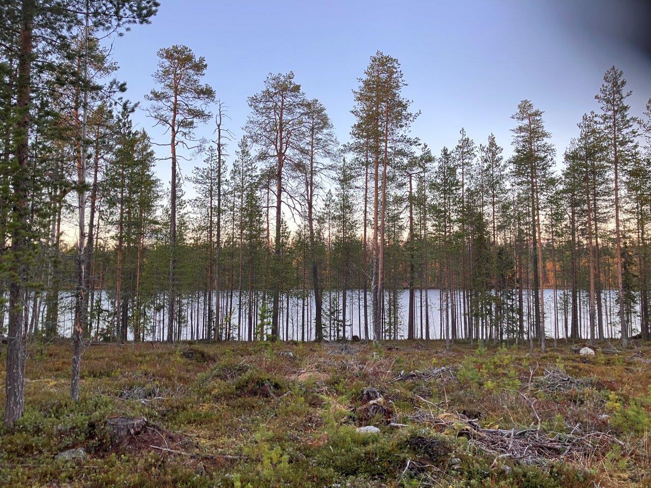 Järvimaisemaa