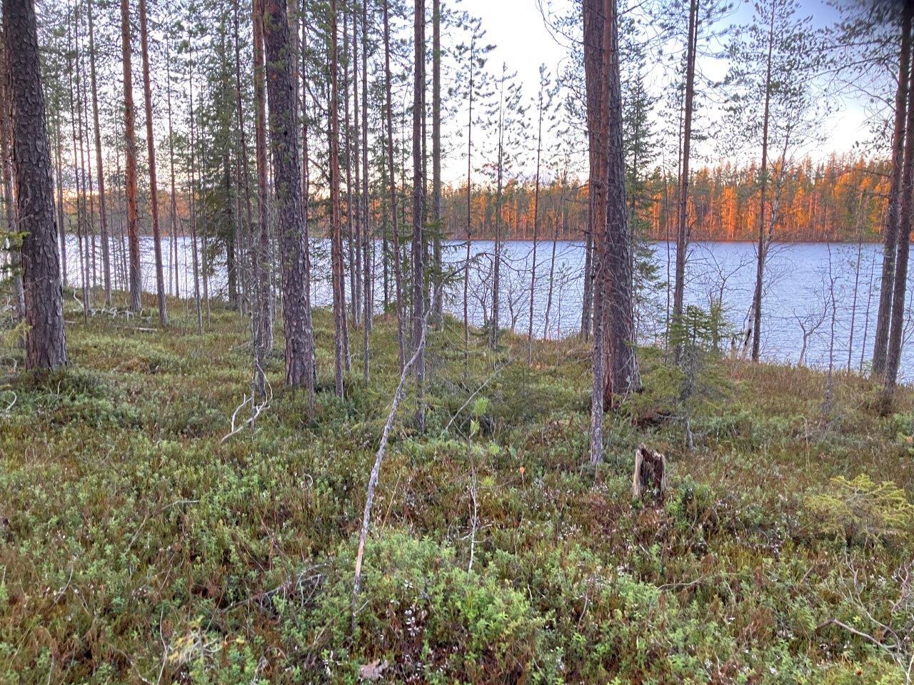 Järvimaisemaa