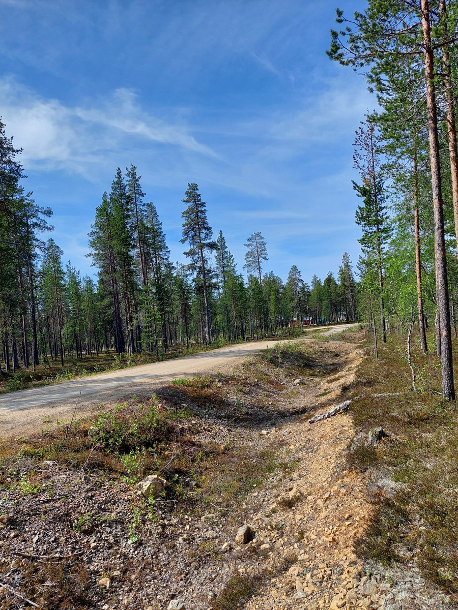 Kuva tontilta Asentopolulle päin.