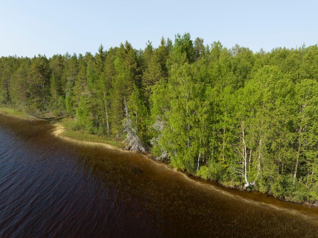 Ilmakuvassa näkyy korttelin 2 rantaviivaa