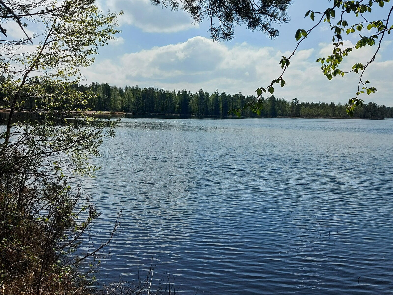 Näkymä järvelle, jossa näkyy tontin lähellä sijaitsevan uimarannan.