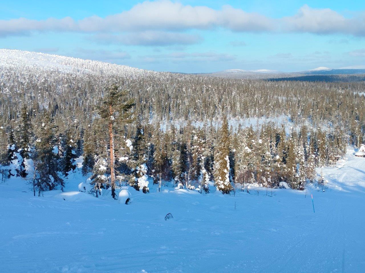 Salla, itärinne, tonttimaa talvisen laskettelurinteen takana olevassa metsässä