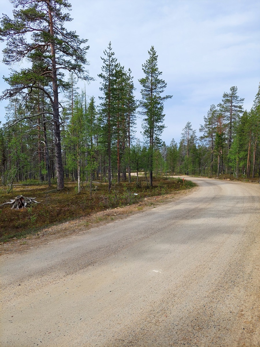 Tienäkymää tontilta Tievatuvantien-Asentopolun risteyksen suuntaan.