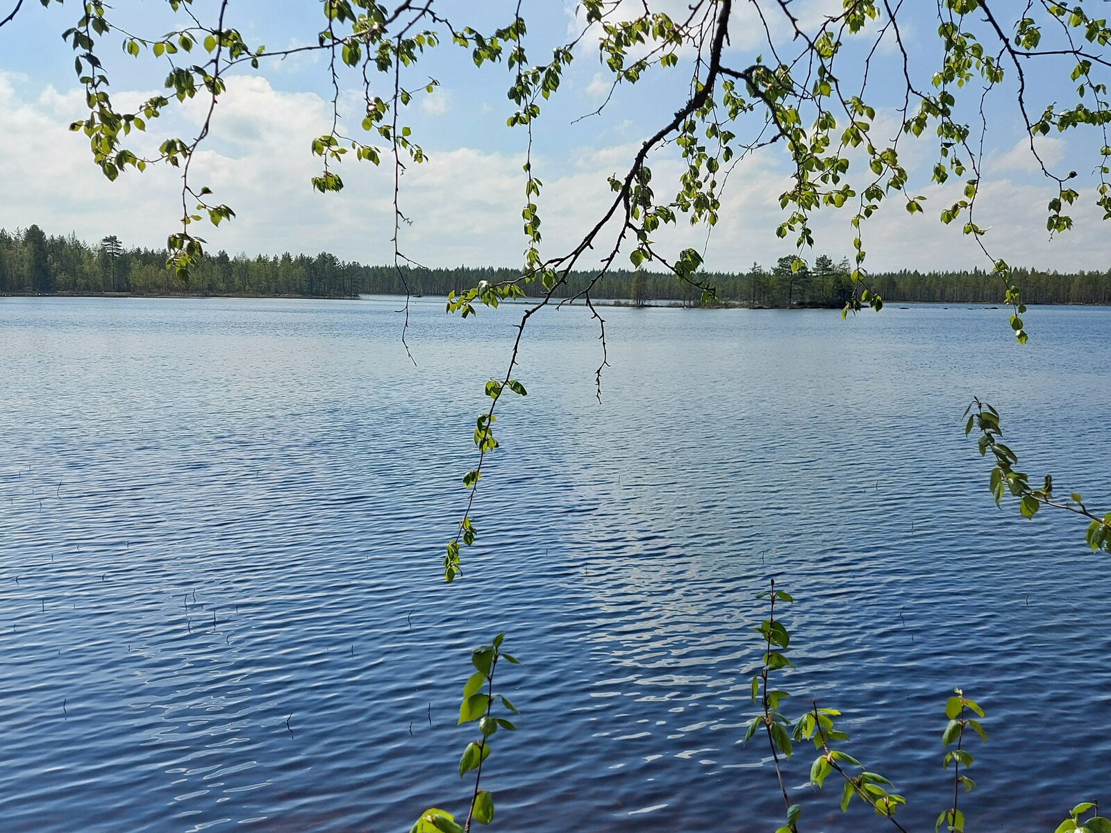 Näkymä järvelle, jossa näkyy saari ja vastarantaa