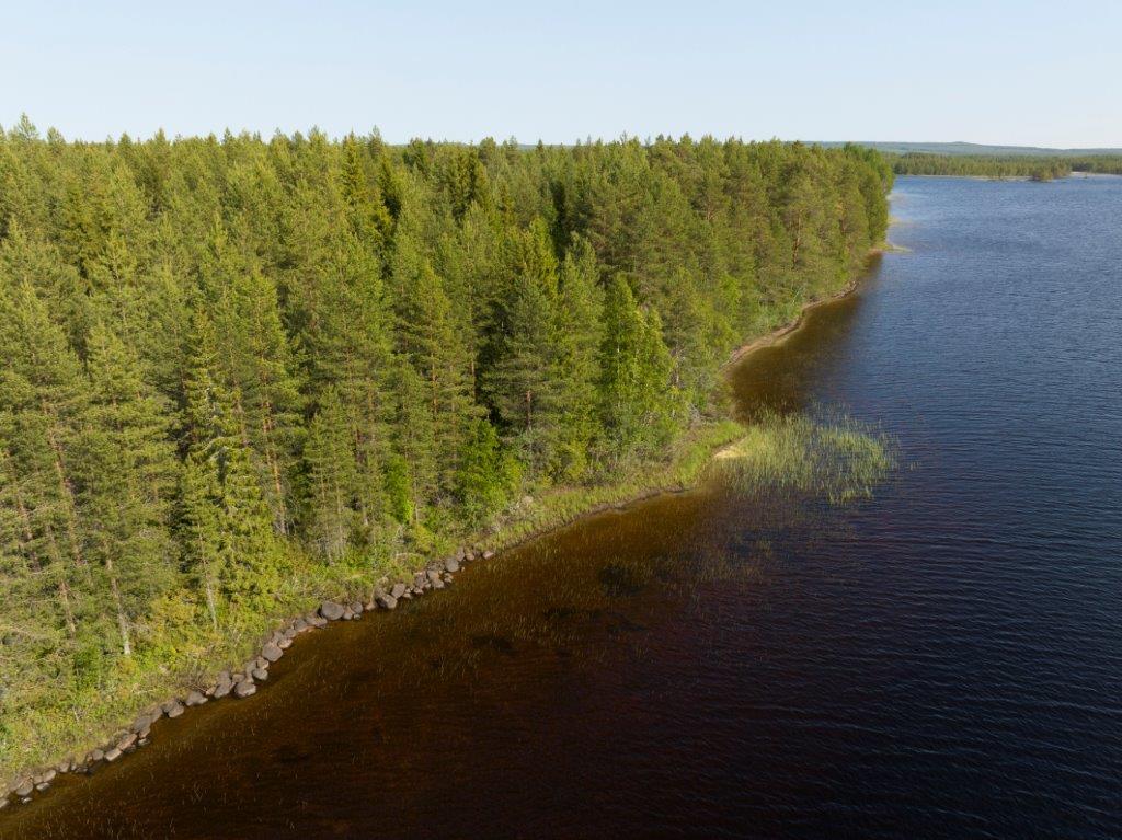 Ilmakuva korttelin 1 tonttien rantaviivasta