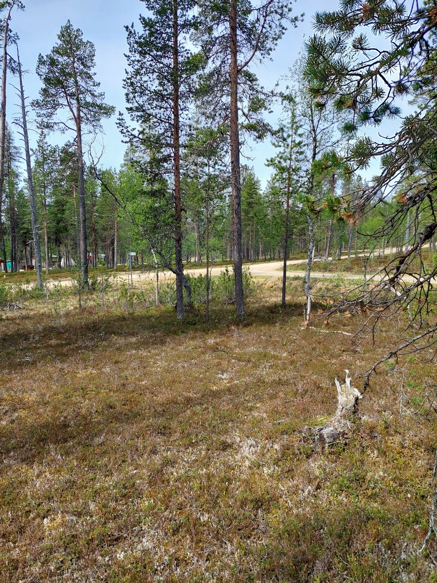 Tontilta Asentopolun ja Tievatuvantien risteykselle