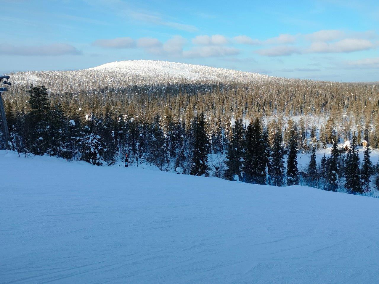 Salla, itärinne, tonttimaa talvisen laskettelurinteen takana olevassa metsässä