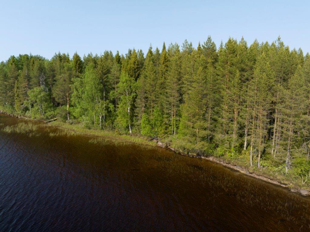 Ilmakuva korttelin 1 tonttien rantaviivasta