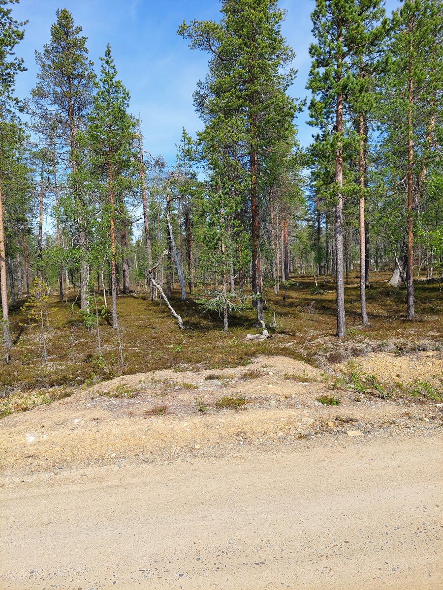 Asentopolulta tontille sekä pistotie tontille.