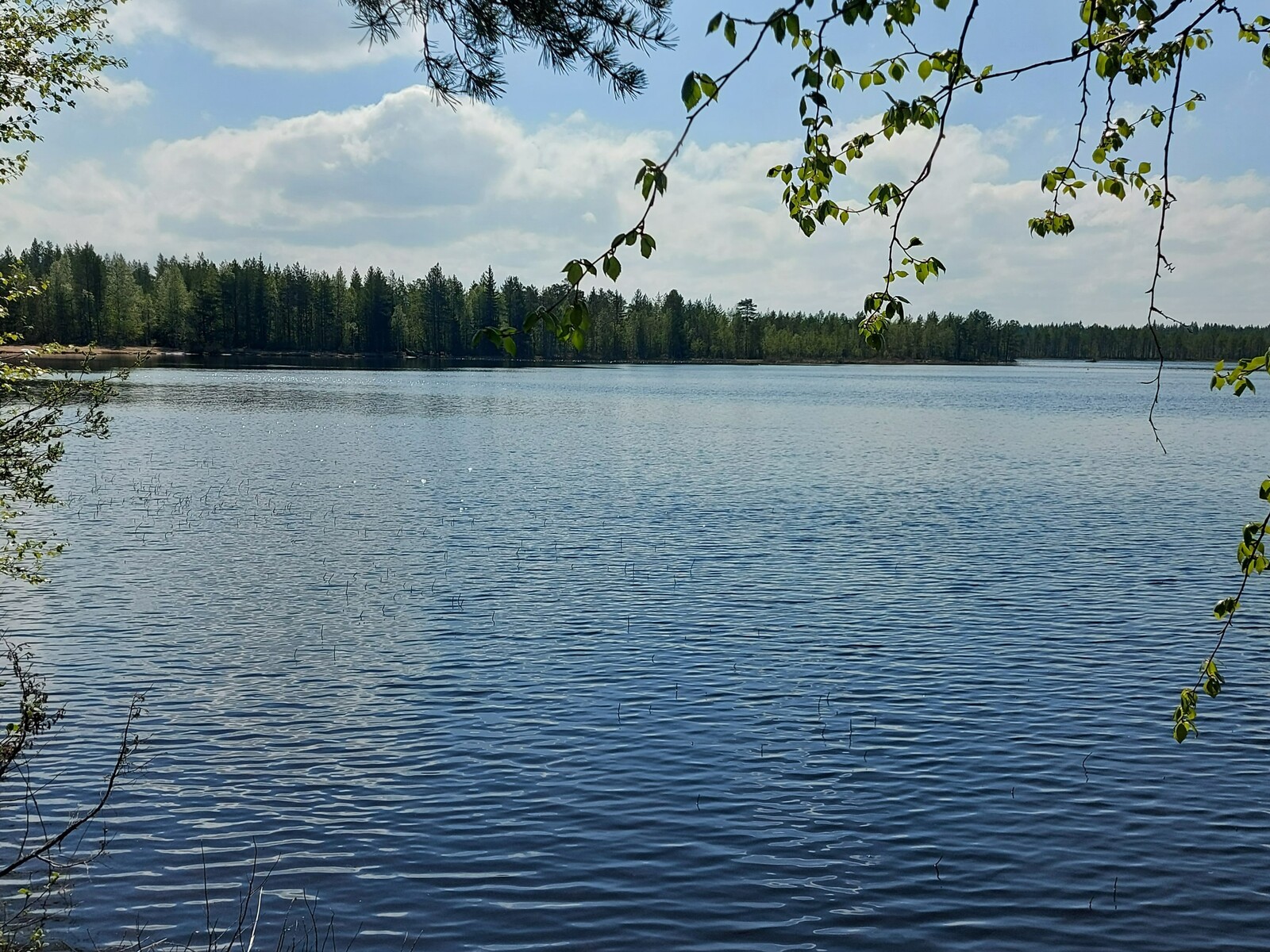 Näkymä järvelle, jossa näkyy tontin lähellä sijaitseva uimaranta