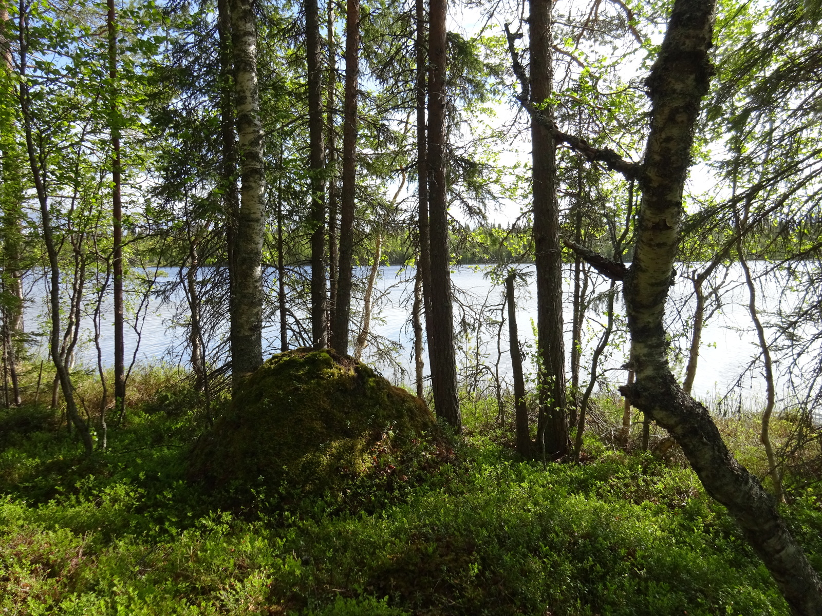 Kuva tontilta järvelle