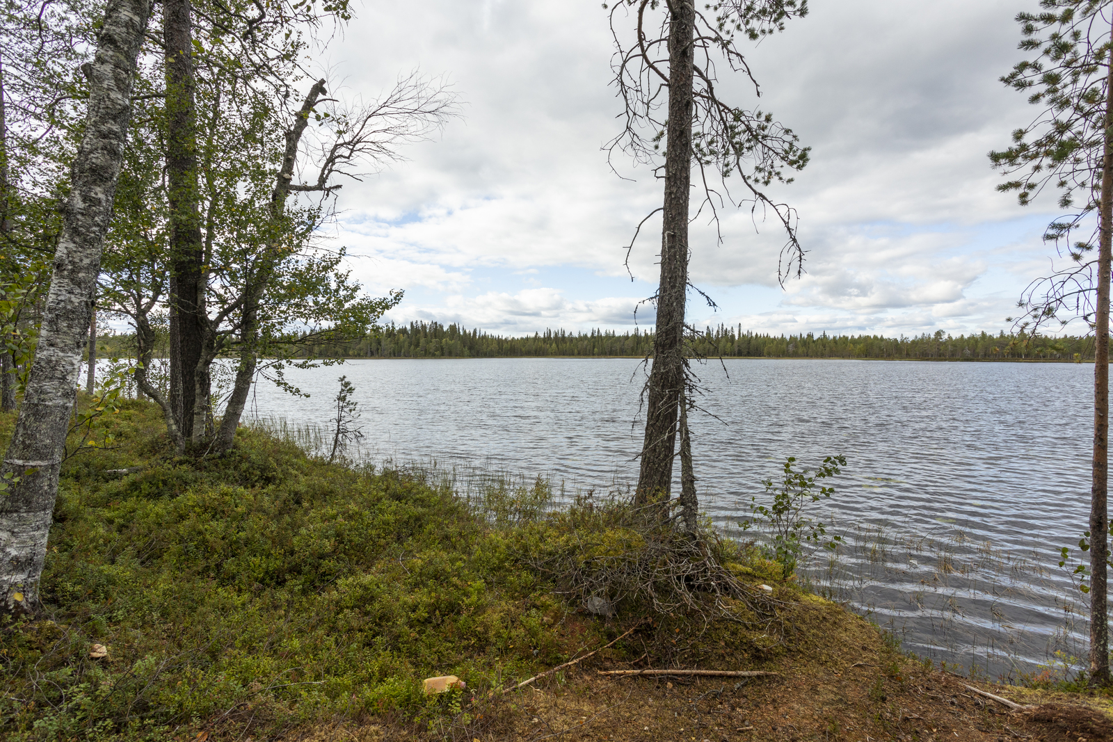 Kuva tontilta järvelle