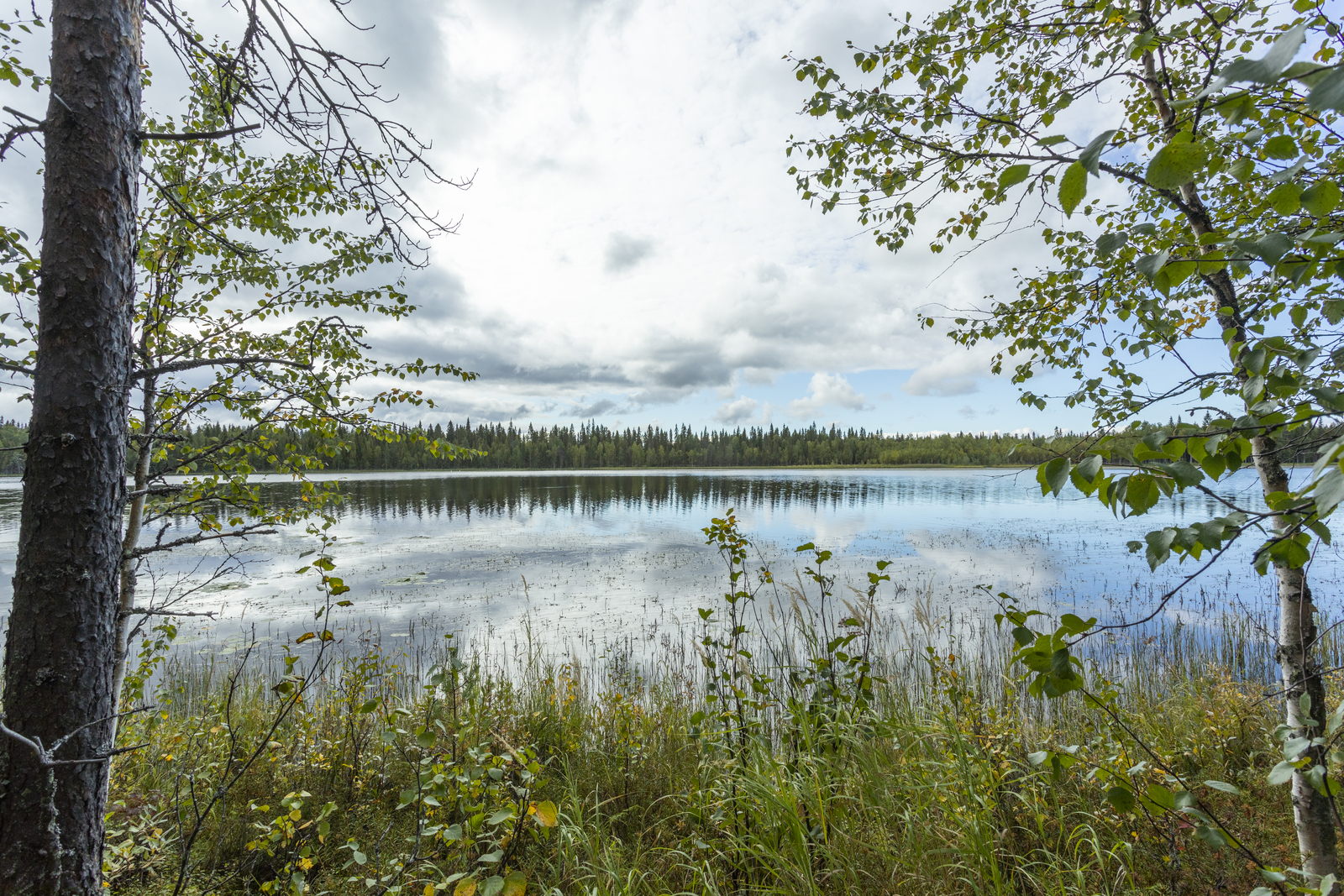 Kuva rannalta järvelle