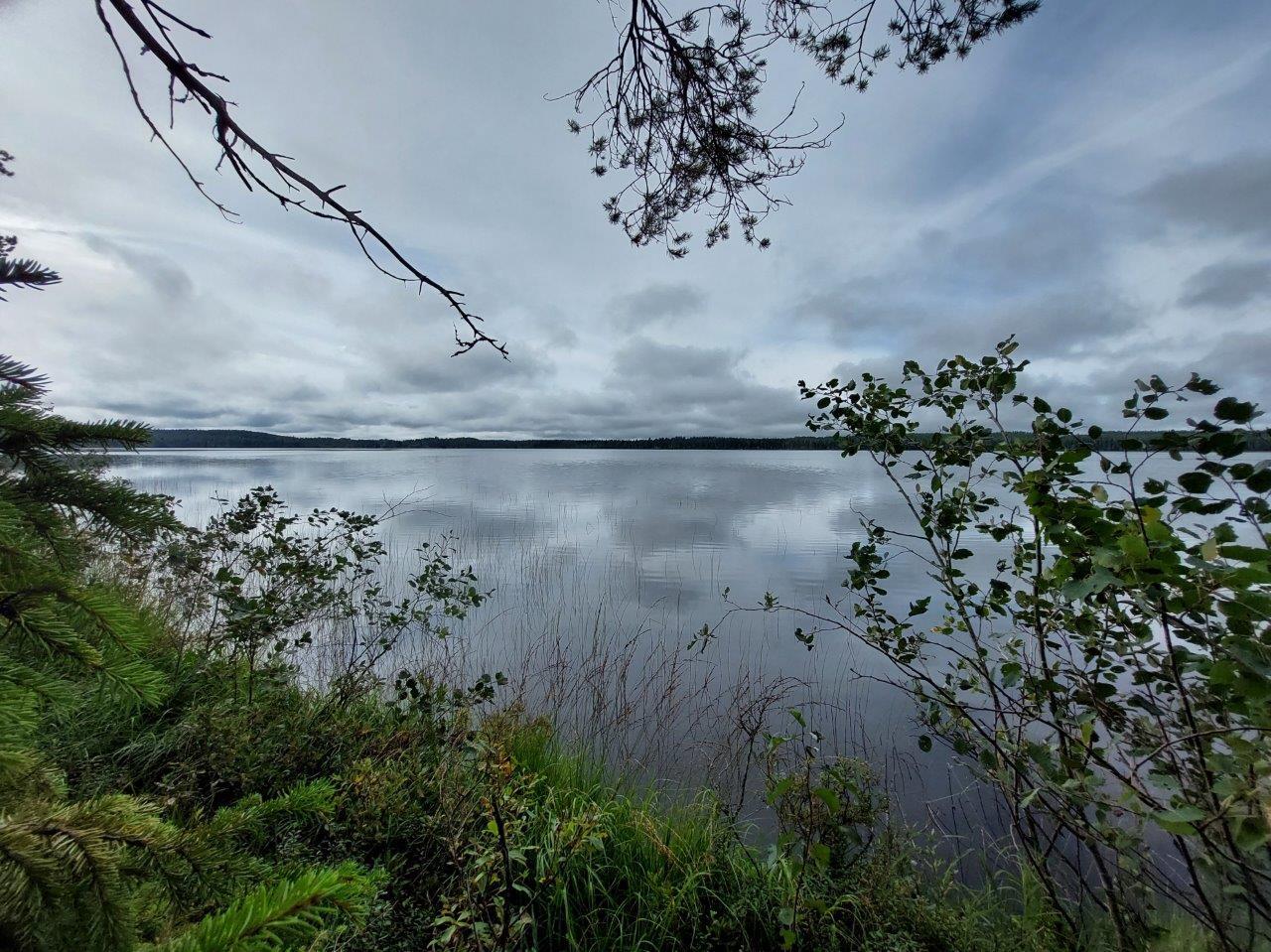 Pilvinen taivas tyynen järven yllä, etualalla muutama varpu ja oksa.