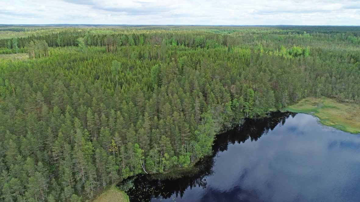 Ilmakuvaa alueen tonteista, kuvassa mäntyvaltaista metsää ja tyyni mustan näköinen järvi.