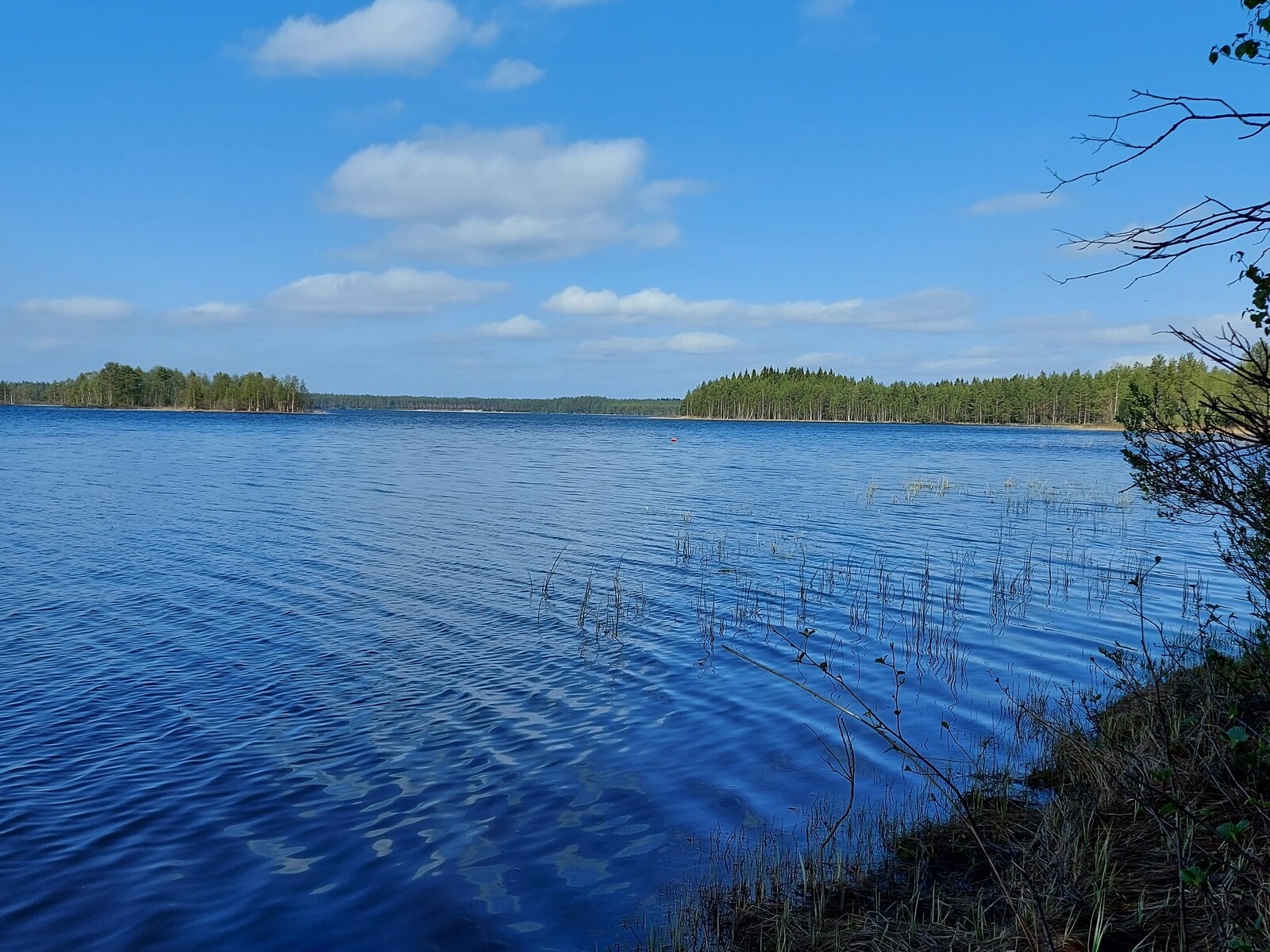 Näkymä järvelle, jossa näkyy saari ja niemenkärki