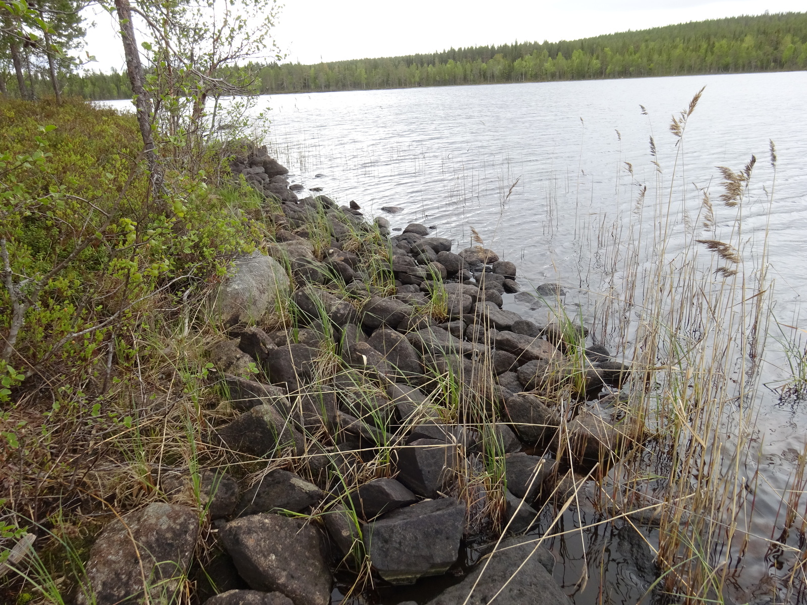 Kuva rannalta ja järvelle