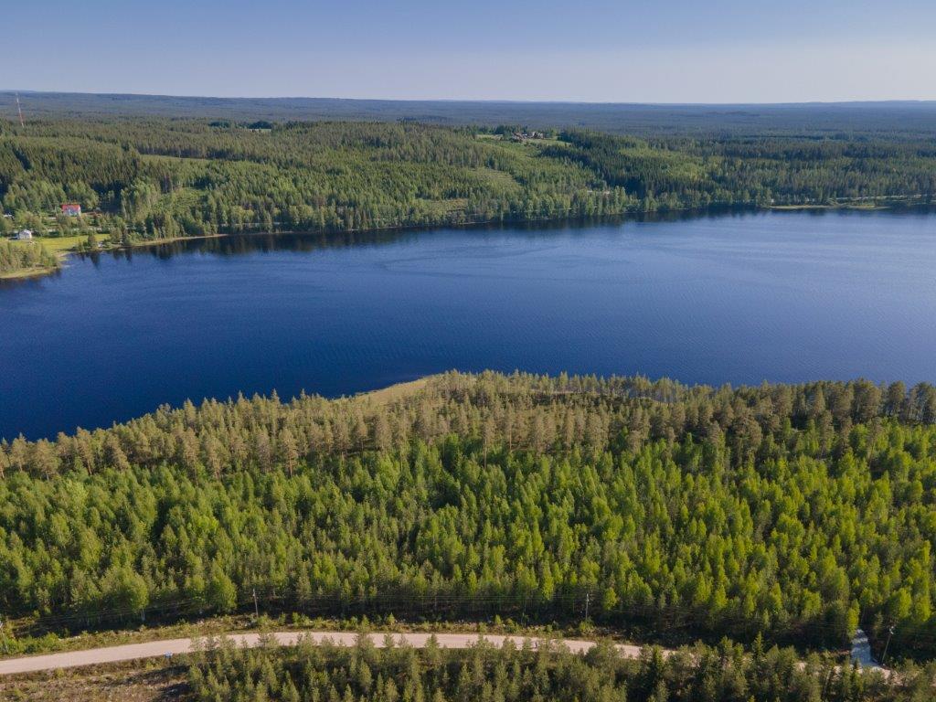 Maisema tontilta järvelle, etualalla kulkee tie jonka jälkeen alkaa mäntymetsä. Järvi taustalla.