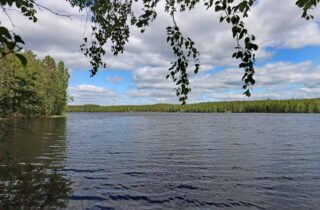 Masema järvelle, tumma vesi aaltoilee ja taivaalla on pilviä. Lehtipuiden oksia roikkuu kuvassa.