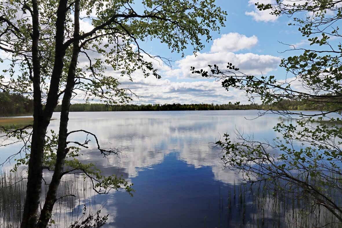 Aurinkoinen maisema järvelle, järven pinnasta heijastuu pilviä. Puiden oksat kurottautuvat kuvaan.