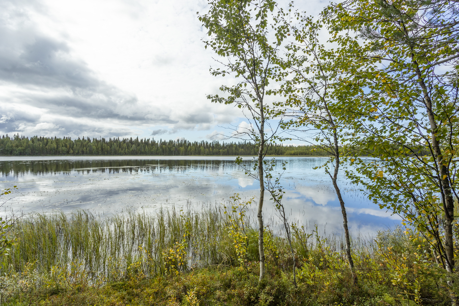 Kuva tontilta järvelle