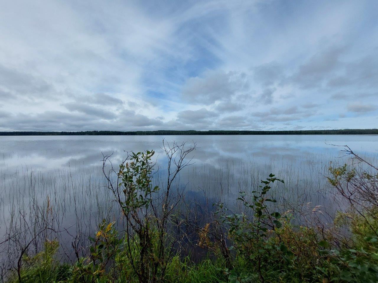 Tyynen järven yllä harmaita pilviä, etualalla rantapengertä ja varpuja.