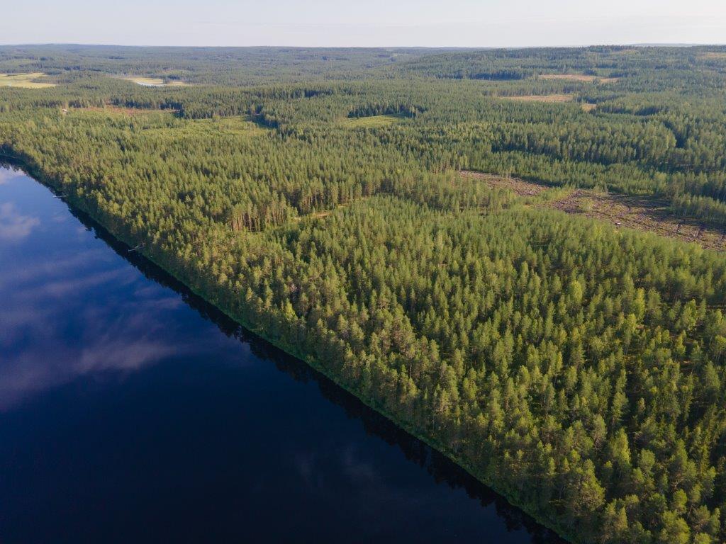 Ilmakuvaa tontista, järvi etualalla, metsää silmän kantamattomiin oikealla, metsässä hakkuuaukkoja.