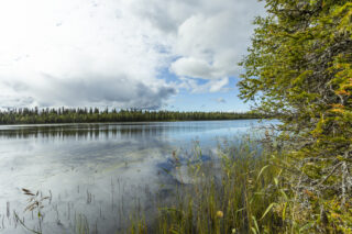 Kuvan rannalta järvellä