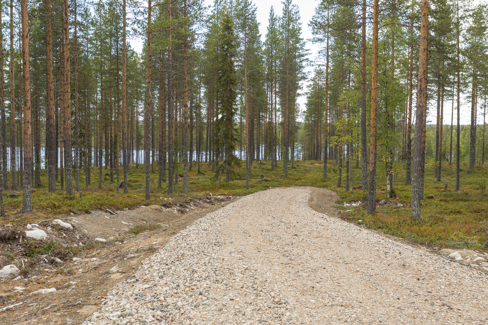 Kaavatie kohteelle, kohde edessä