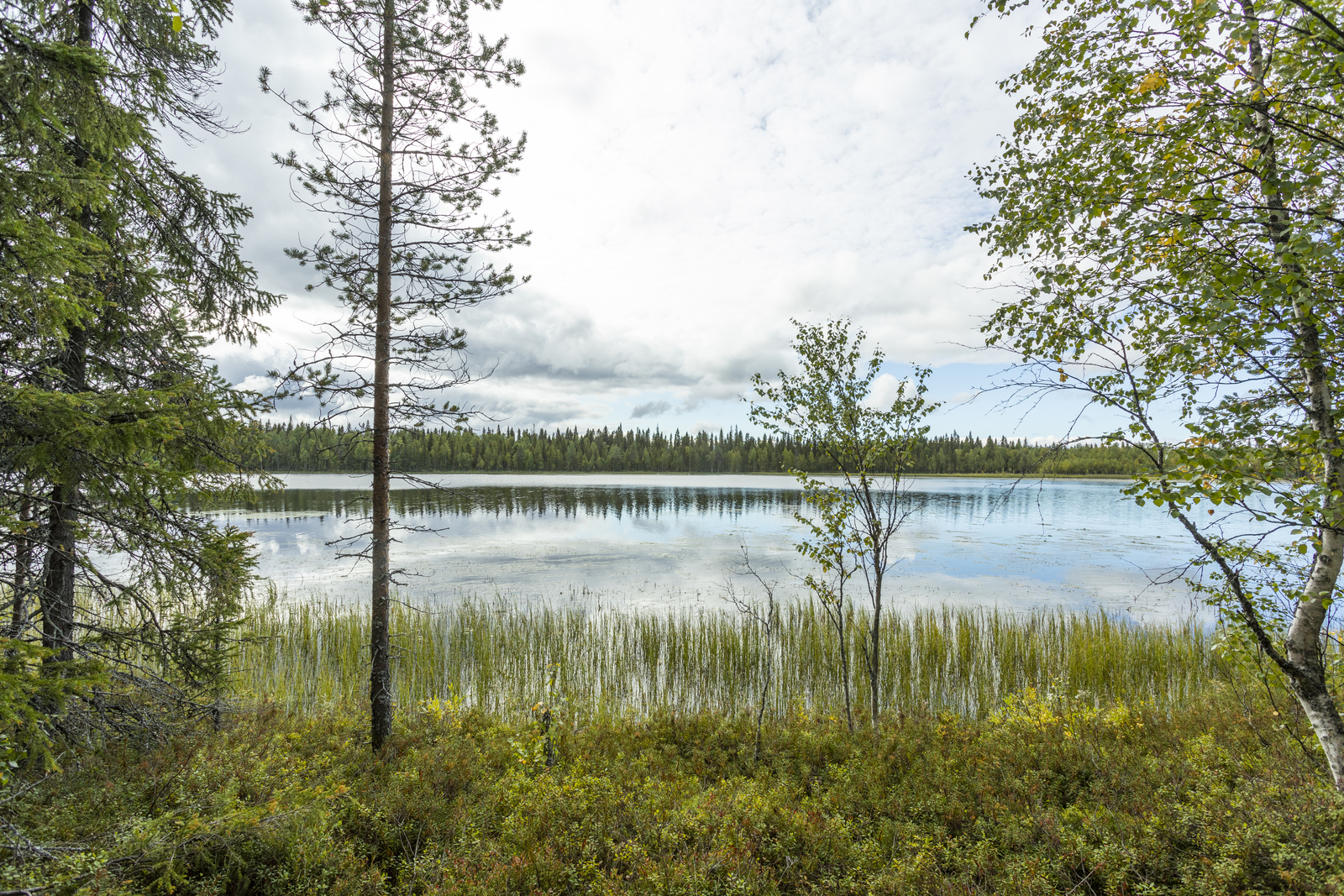 Kuva tontilta järvelle