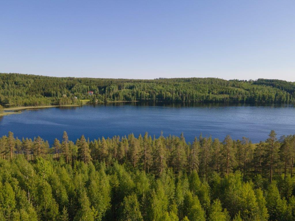 Ilmakuvaa tontin puunlatvojen yli järvelle ja vastarannalle.