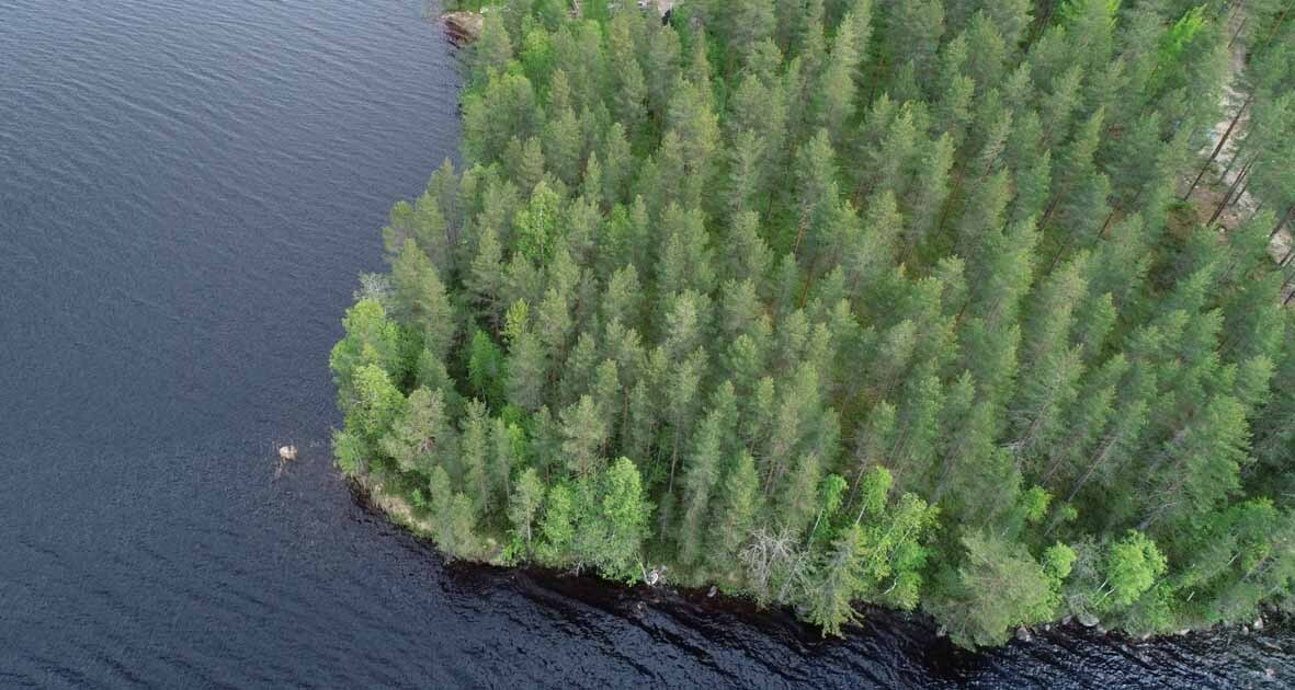 Ilmakuvaa järveltä tontille päin, tontilla on mäntyvaltainen puusto.