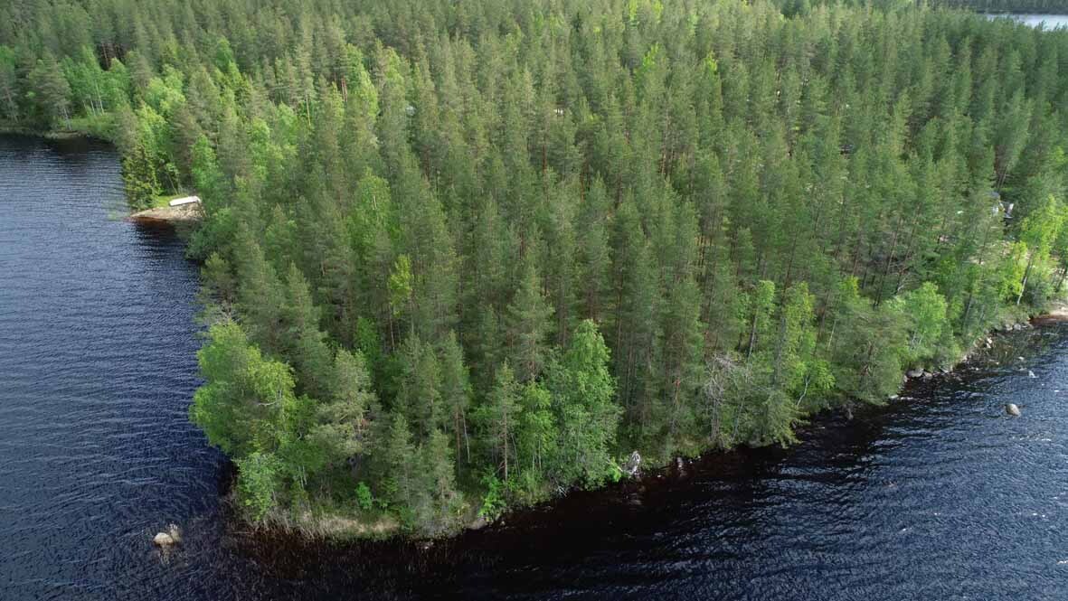 Ilmakuvaa järveltä tontille päin, tontilla on mäntyvaltainen puusto.