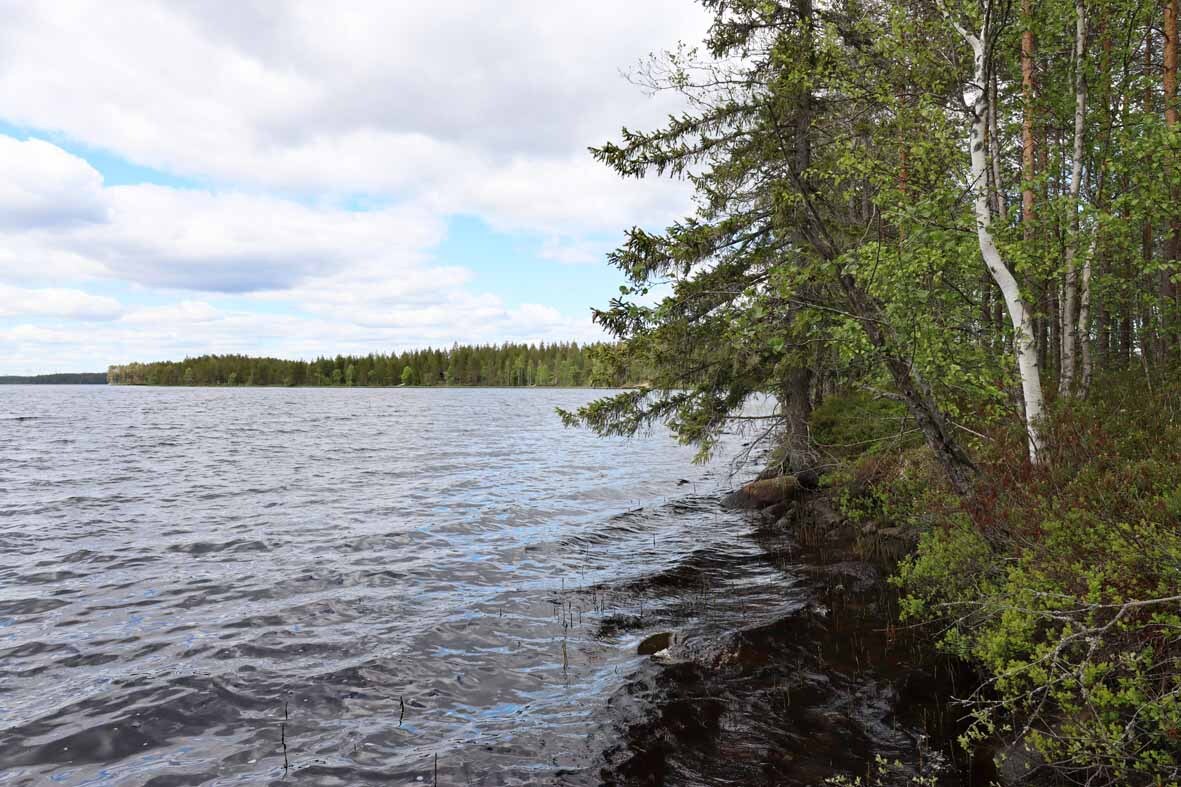 Näkymä tuuliselle järvelle, rannan puut kurottautuvat järveä kohti.