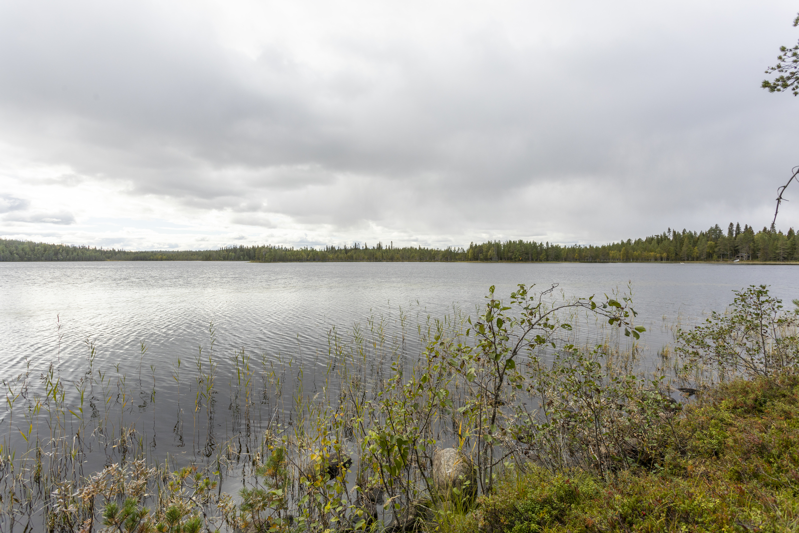 Kuva rannalta järvelle