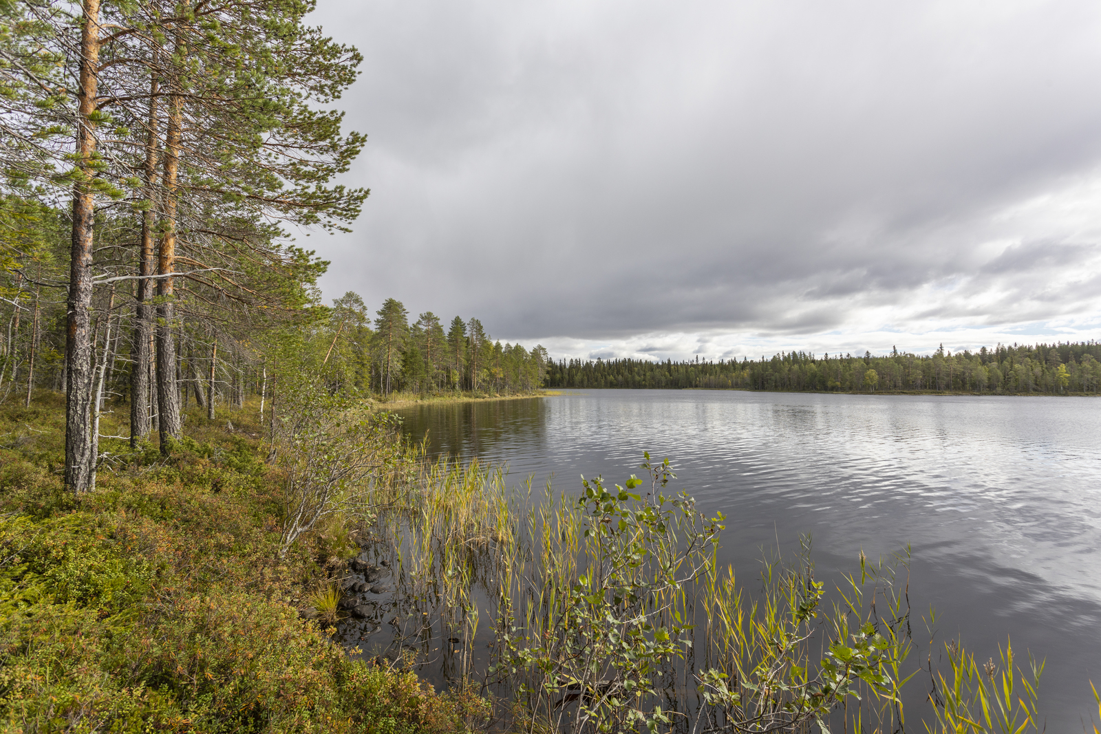 Kuva rannalta järvelle