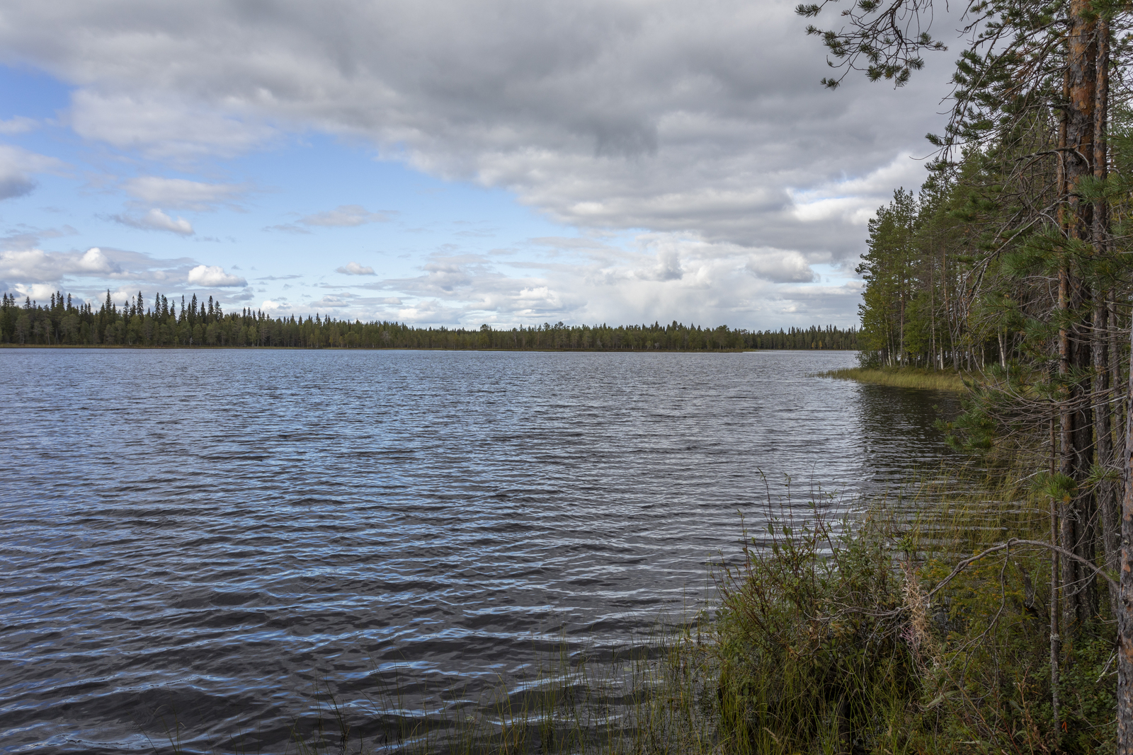 Kuva rannalta järvelle