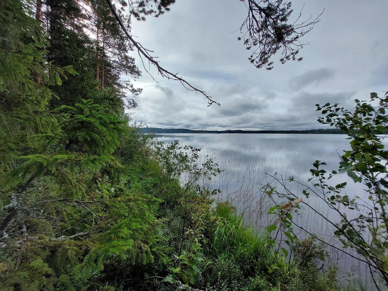 Pilvinen taivas tyynen järven yllä, rantapengertä etualalla.