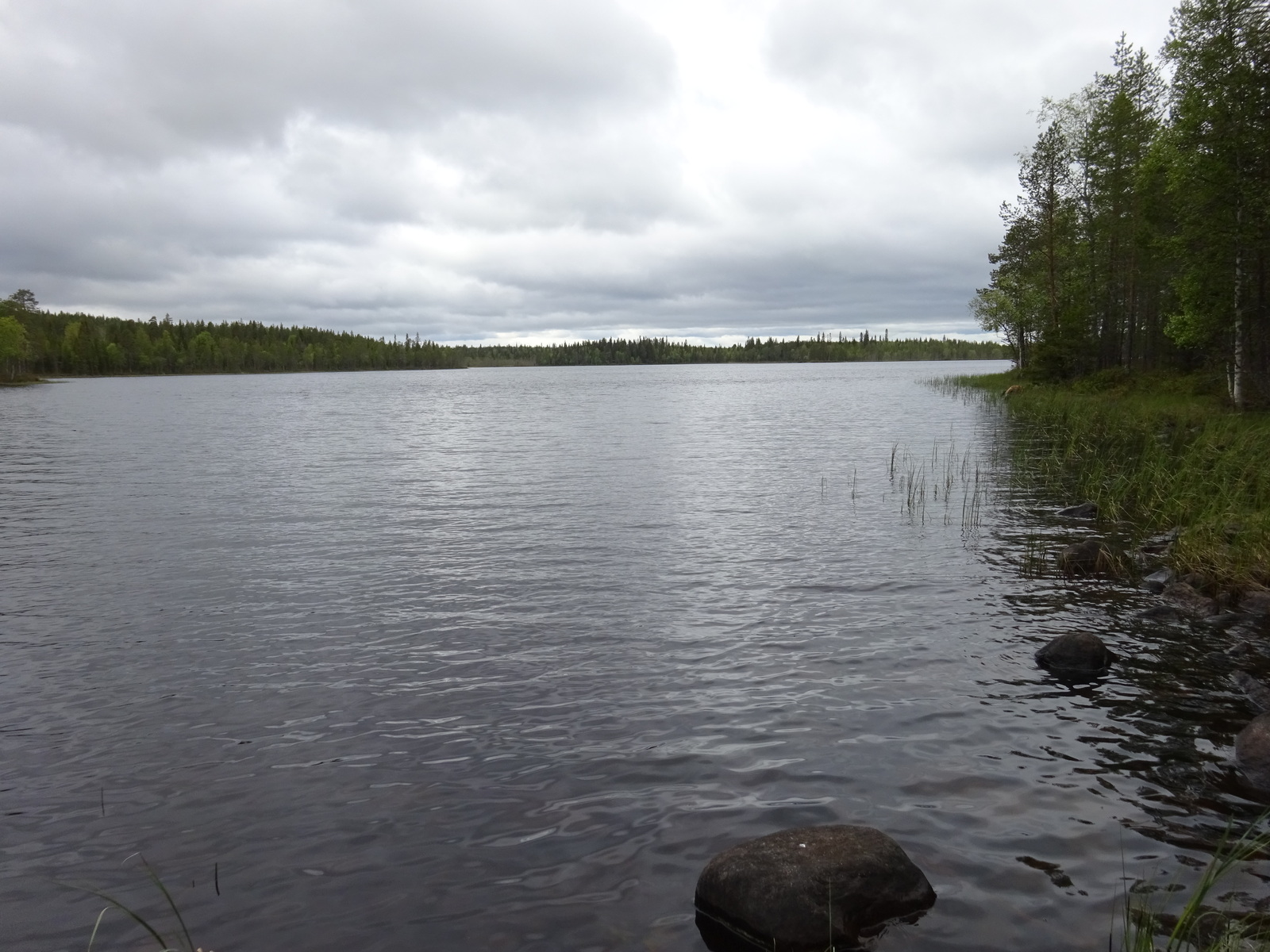 Kuva tontilta järvelle