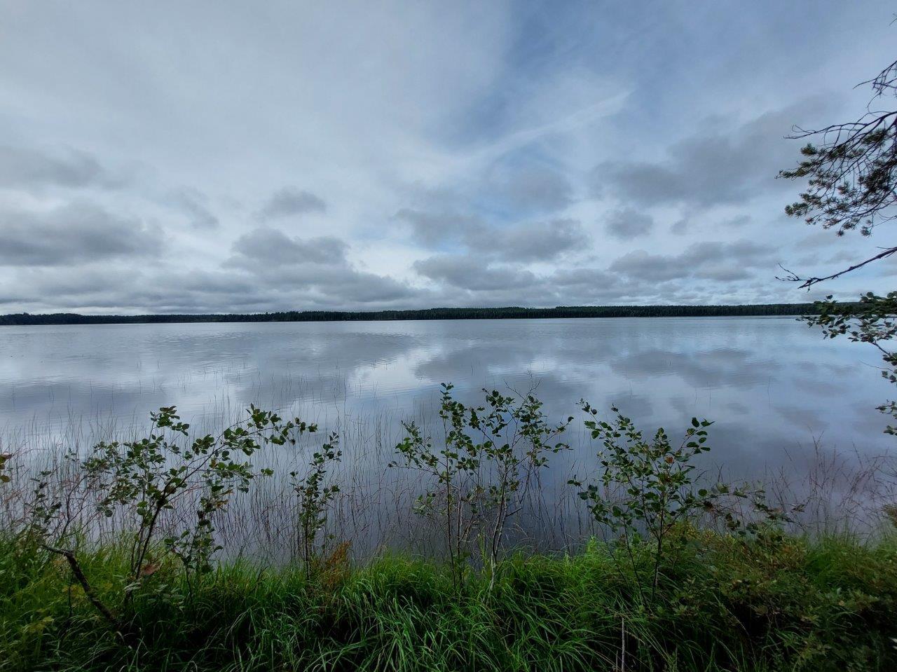 Pilvinen taivas tyynen järven yllä, etualalla muutama varpu ja oksa.