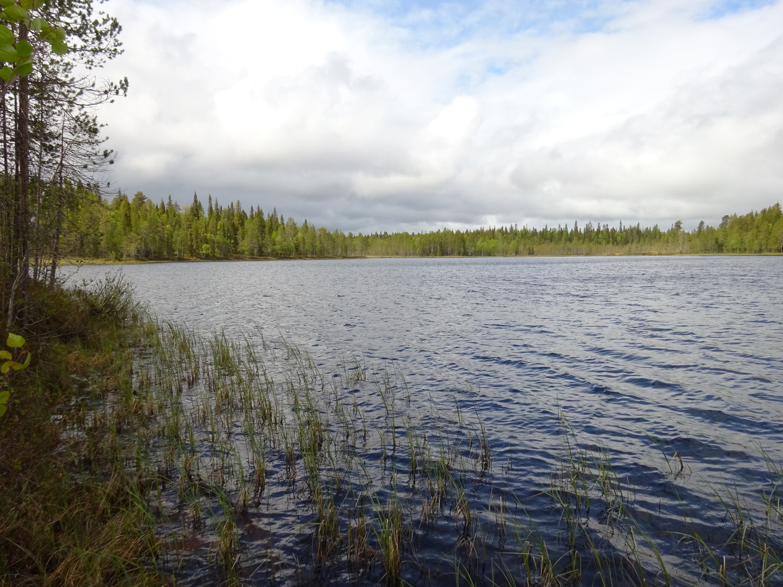 Kuvaa rannalta järvelle