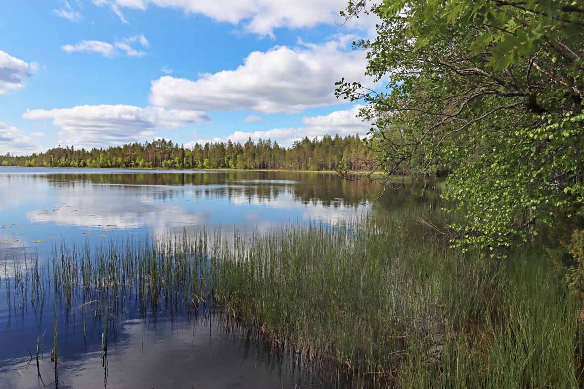 Aurinkoinen maisema järvelle, järven pinnasta heijastuu pilviä. Rannalla kasvaa puita.