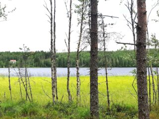 Järvimaisema avautuu puiden lomasta. Vastarannan metsässä vasemmalla on yksi omakotitalo.