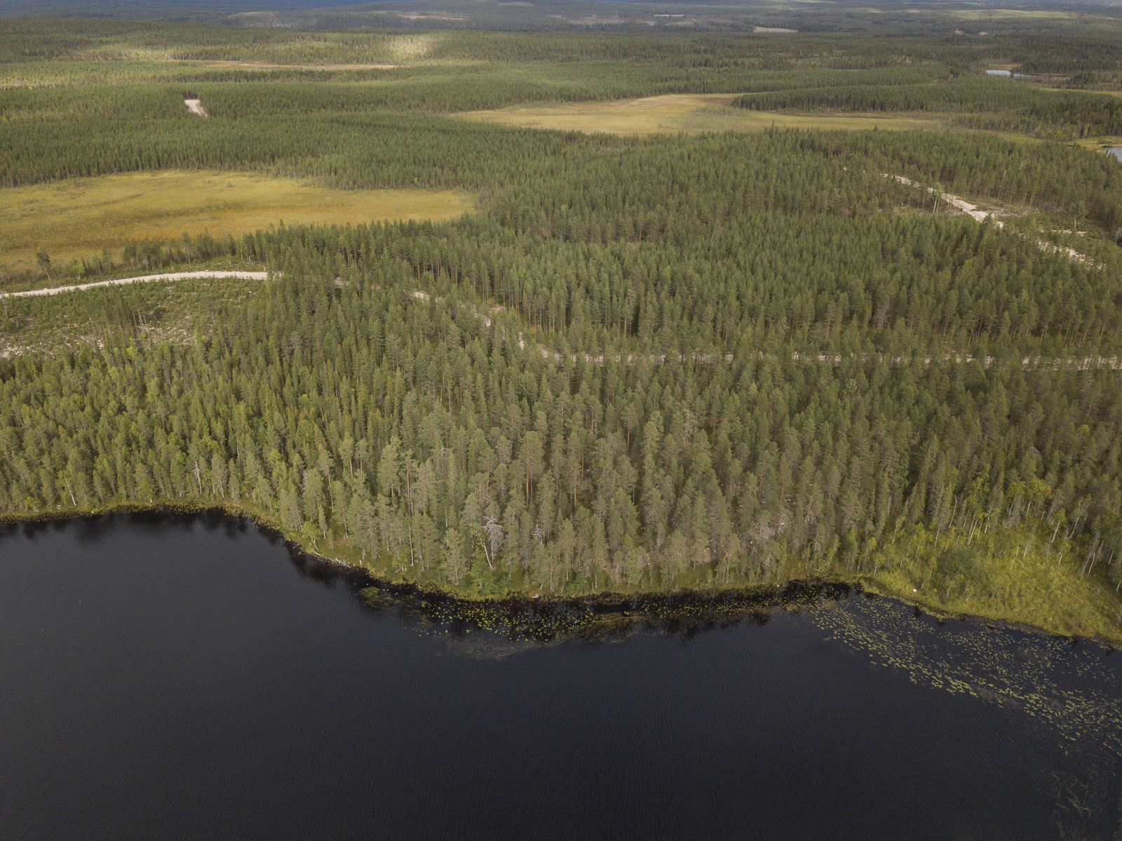 Ilmakuvaa kohteesta