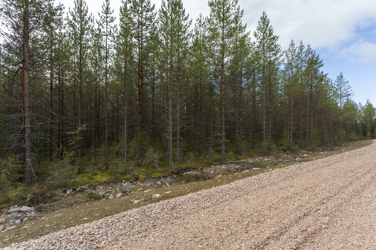 Kaavatie, Korttelin RA 6 tontin sijoittuvat vasemmalla puolelle.